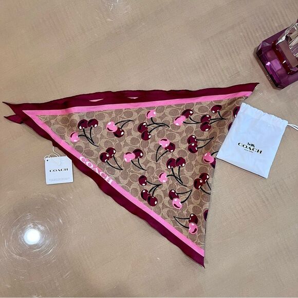 Coach Cherry 🍒 Pouch And Scarf - Picture 5 of 5